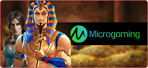 MicroGaming